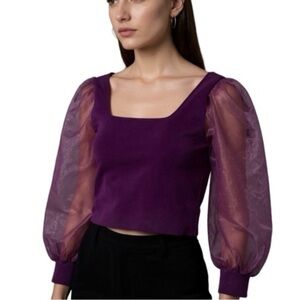 House of Harlow 1960 Purple Sheer Sleeve Blouse